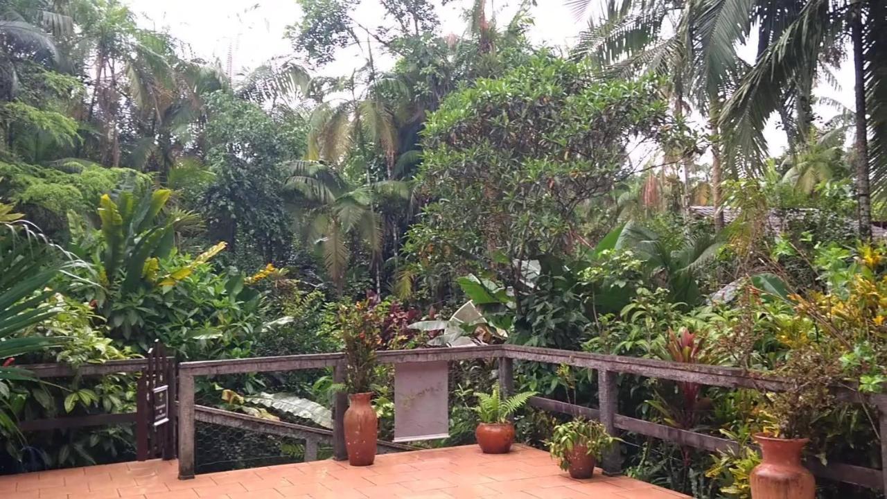 Pousada Do Oasis 莫雷蒂斯 外观 照片