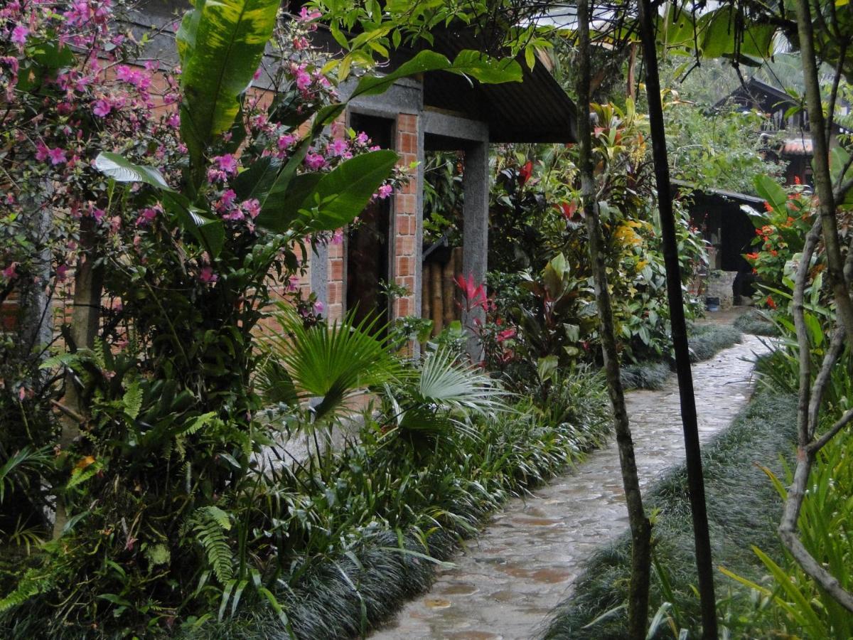 Pousada Do Oasis 莫雷蒂斯 外观 照片