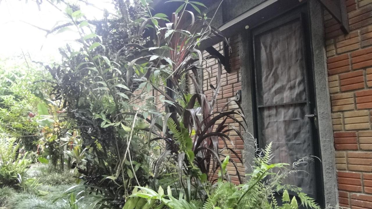 Pousada Do Oasis 莫雷蒂斯 外观 照片