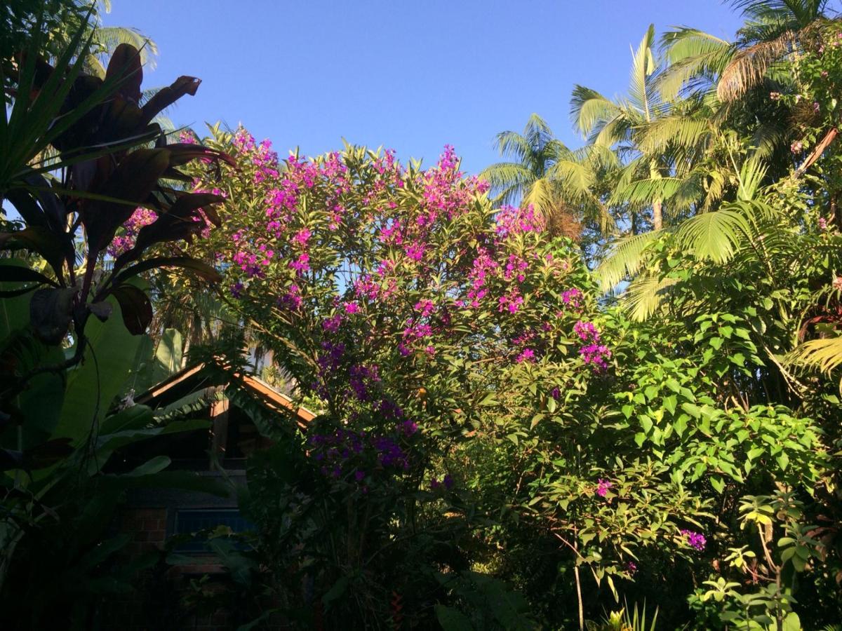 Pousada Do Oasis 莫雷蒂斯 外观 照片
