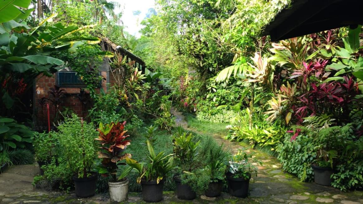 Pousada Do Oasis 莫雷蒂斯 外观 照片