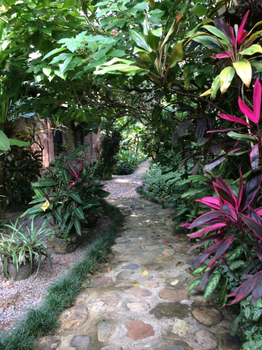 Pousada Do Oasis 莫雷蒂斯 外观 照片