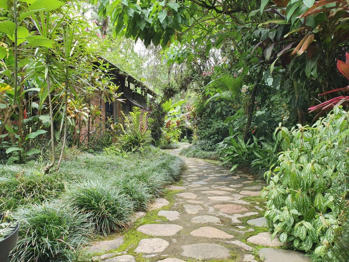 Pousada Do Oasis 莫雷蒂斯 外观 照片