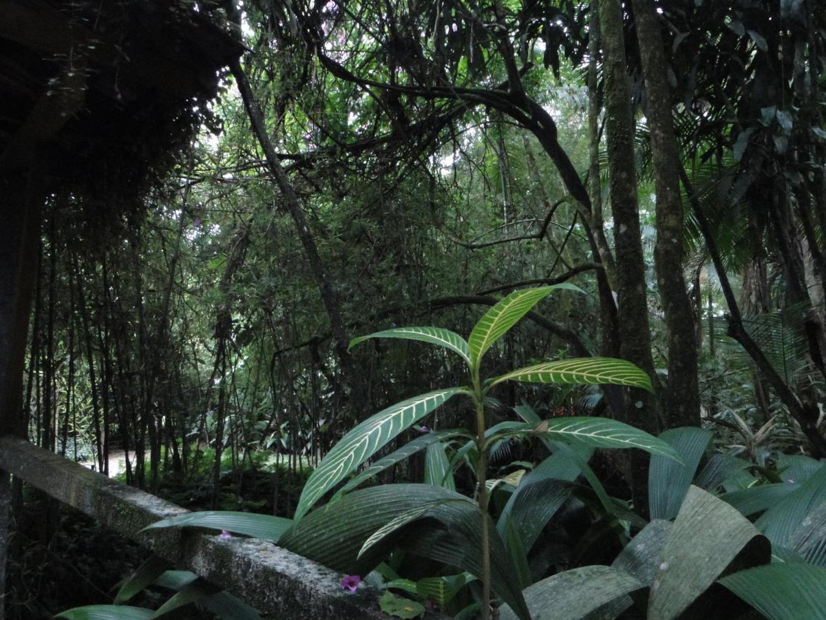 Pousada Do Oasis 莫雷蒂斯 外观 照片