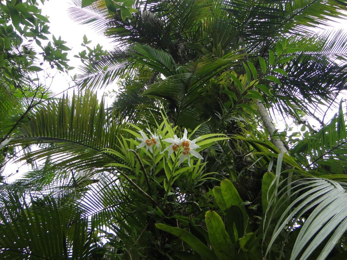 Pousada Do Oasis 莫雷蒂斯 外观 照片