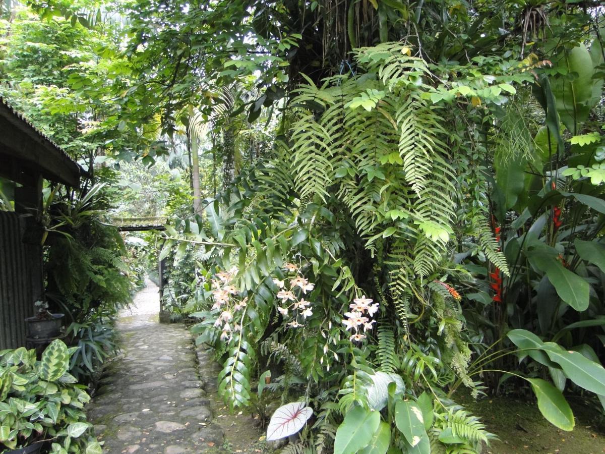 Pousada Do Oasis 莫雷蒂斯 外观 照片